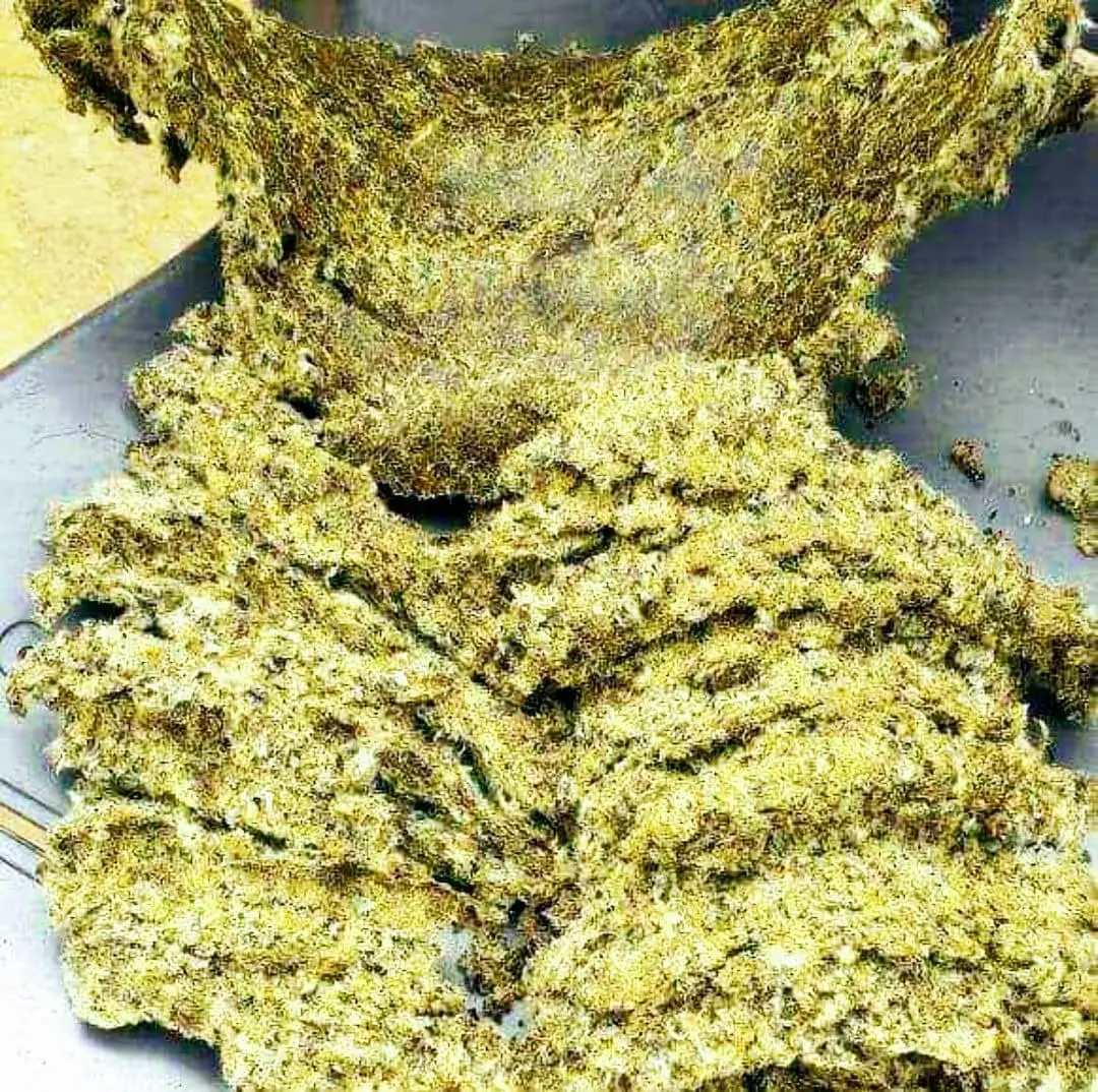 cotton seed meal